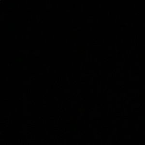 Meet your Posher, Mariah